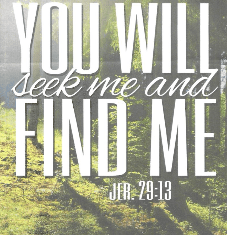 You Will Seek Me And Find Me